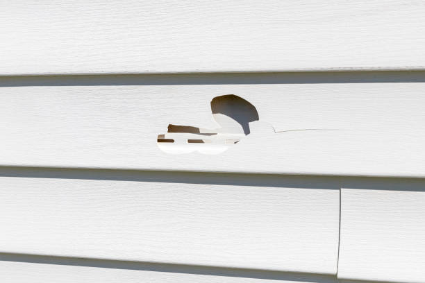 Shed Removal in Valparaiso, FL